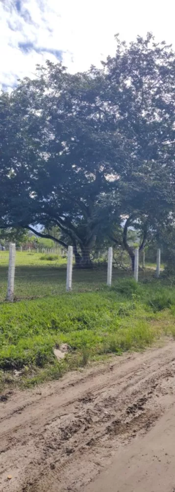 Terreno, 4121 m² - Foto 5