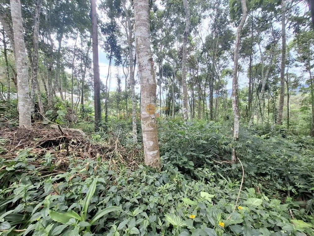 Terreno, 1500 m² - Foto 26