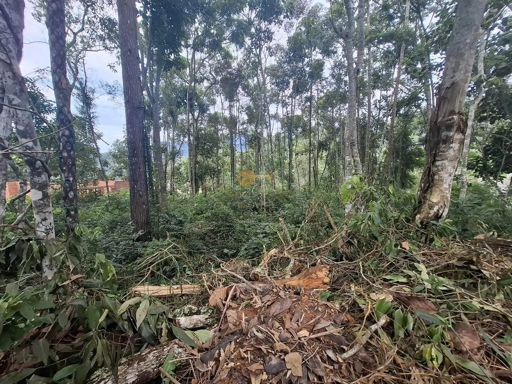 Terreno, 1500 m² - Foto 35