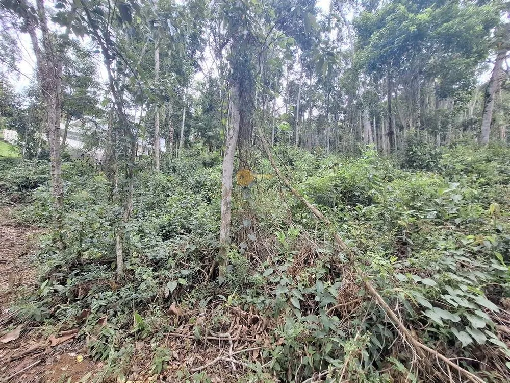 Terreno, 1500 m² - Foto 33