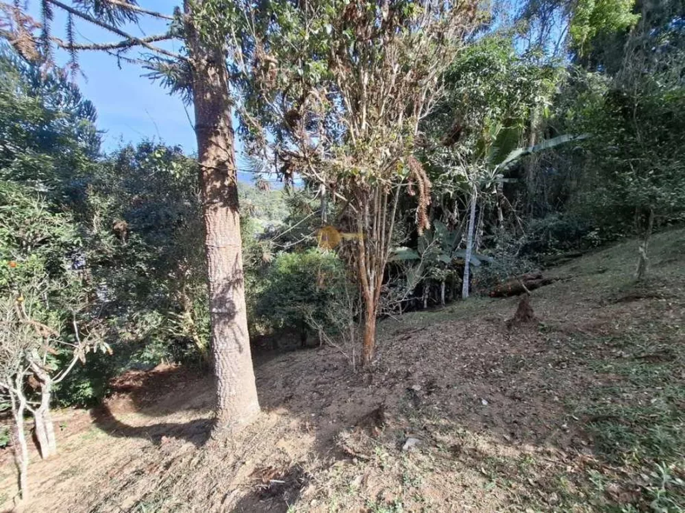 Casa, 2 quartos, 570 m² - Foto 2