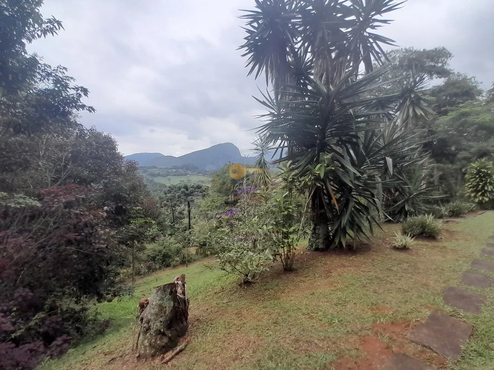 Sítio, 7 quartos, 2 hectares - Foto 8