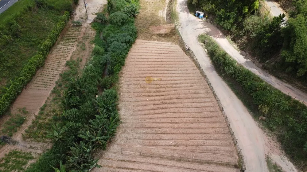 Terreno, 4840 m² - Foto 6