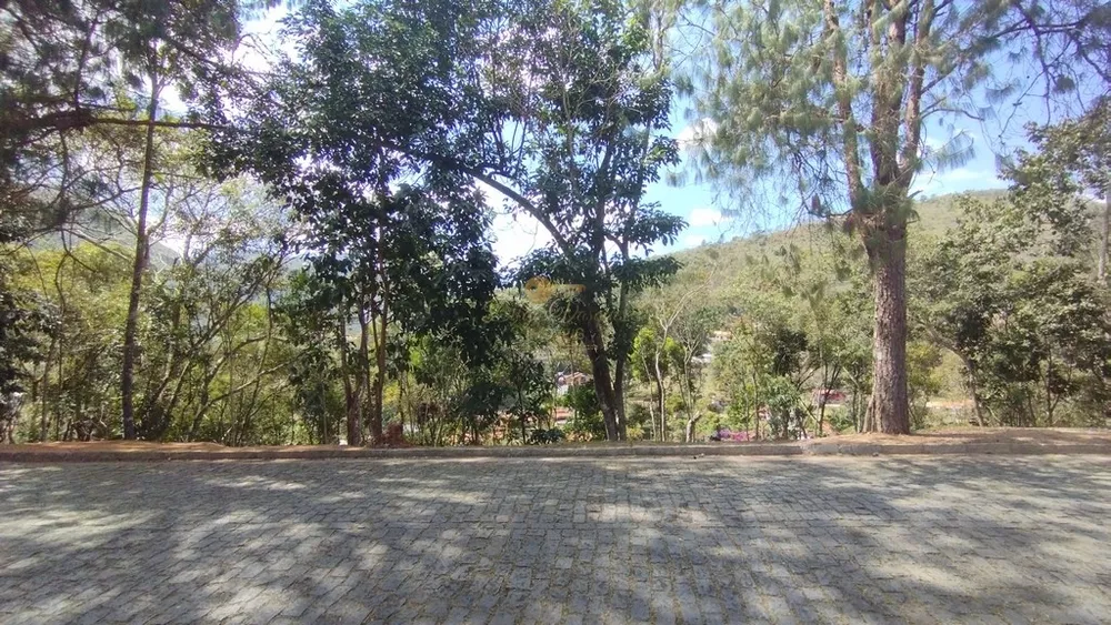 Terreno, 1556 m² - Foto 10