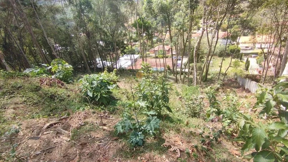 Terreno, 1556 m² - Foto 5