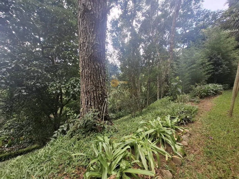 Terreno, 1375 m² - Foto 3