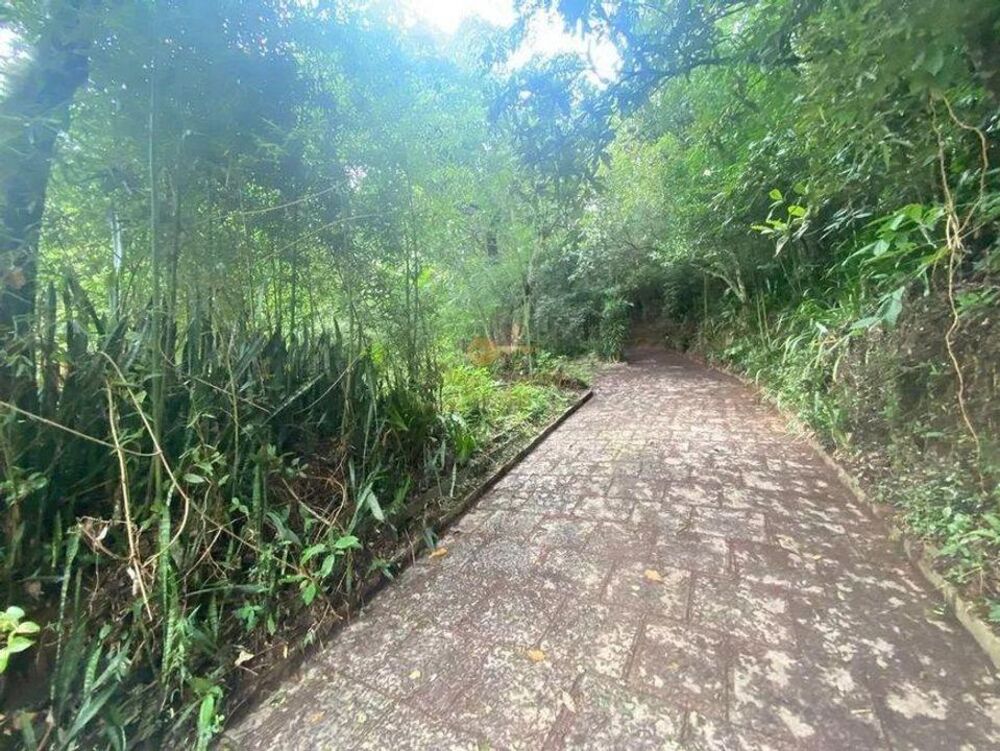 Terreno, 2000 m² - Foto 11