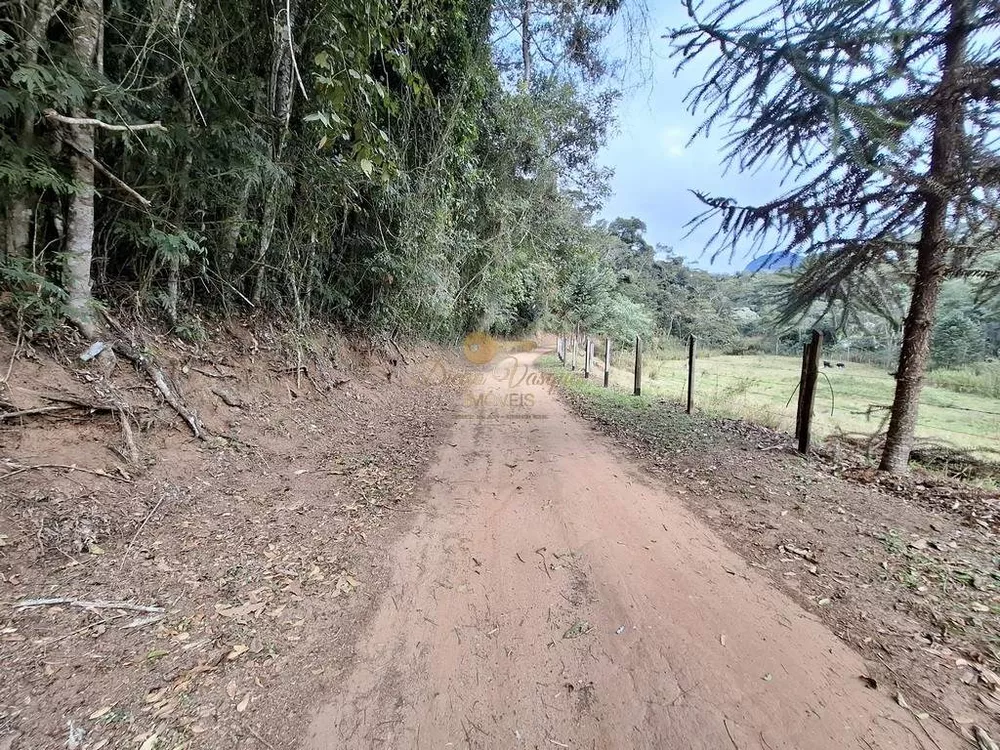 Sítio, 3 quartos, 87 hectares - Foto 63