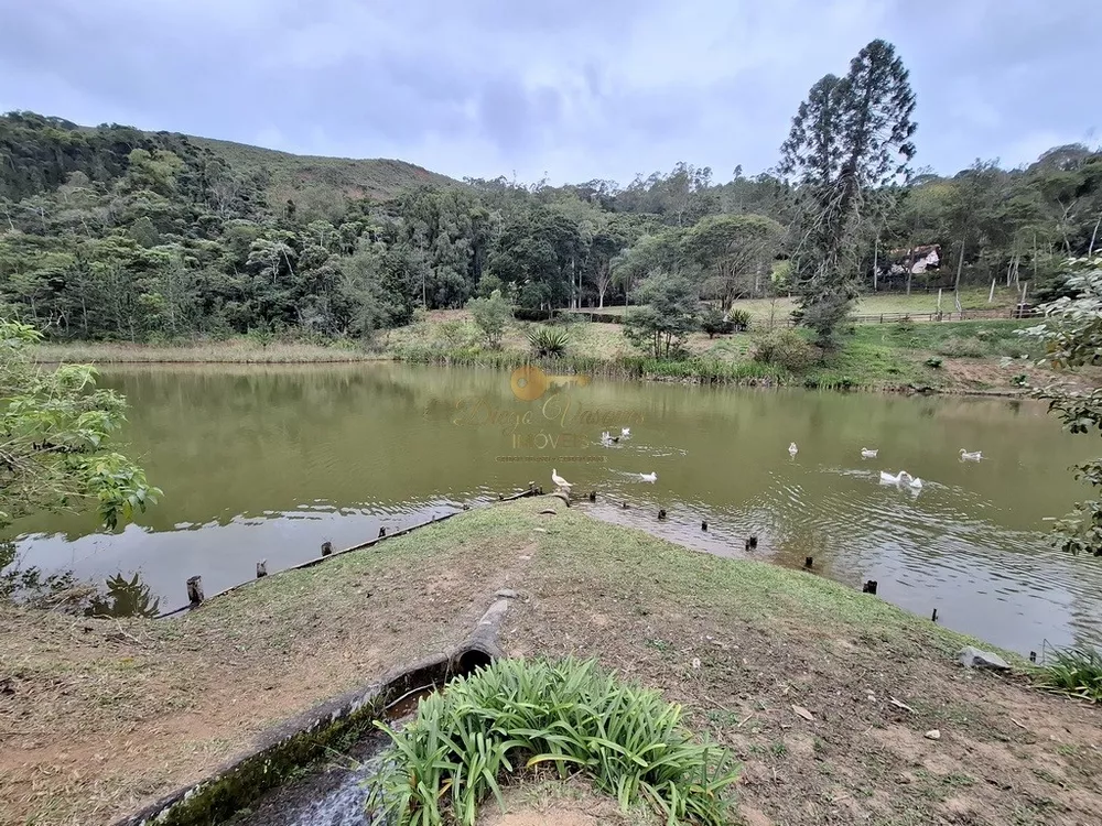 Sítio, 3 quartos, 87 hectares - Foto 47