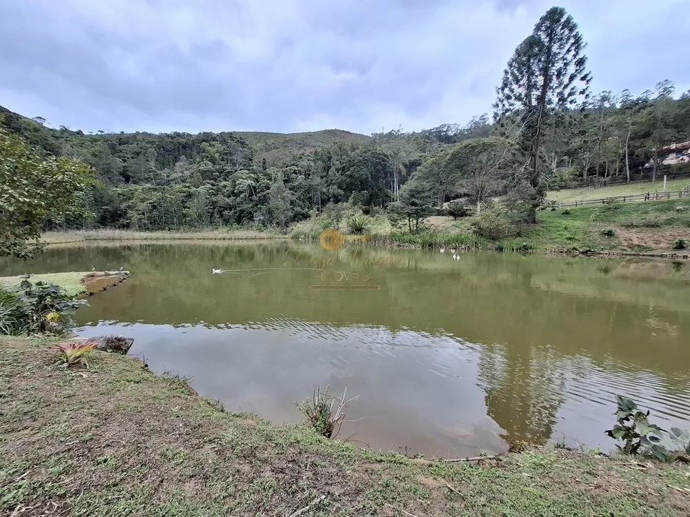 Sítio, 3 quartos, 87 hectares - Foto 45