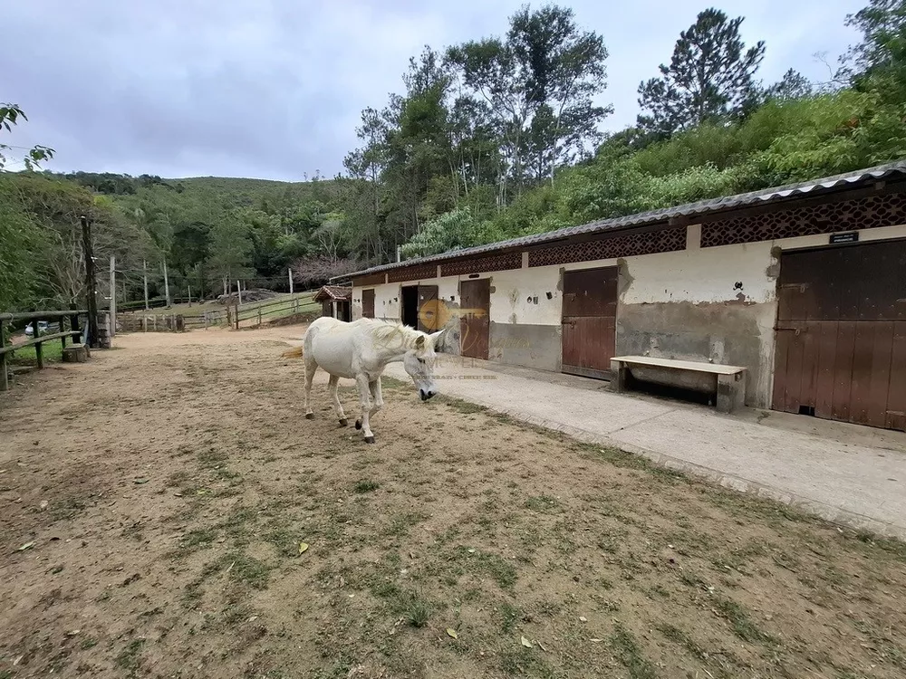 Sítio, 3 quartos, 87 hectares - Foto 42
