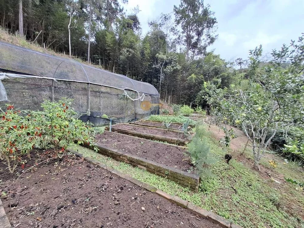 Sítio, 3 quartos, 87 hectares - Foto 33