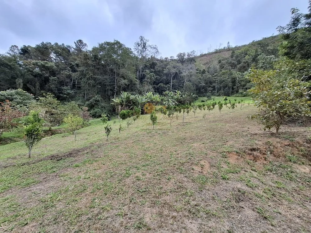 Sítio, 3 quartos, 87 hectares - Foto 48