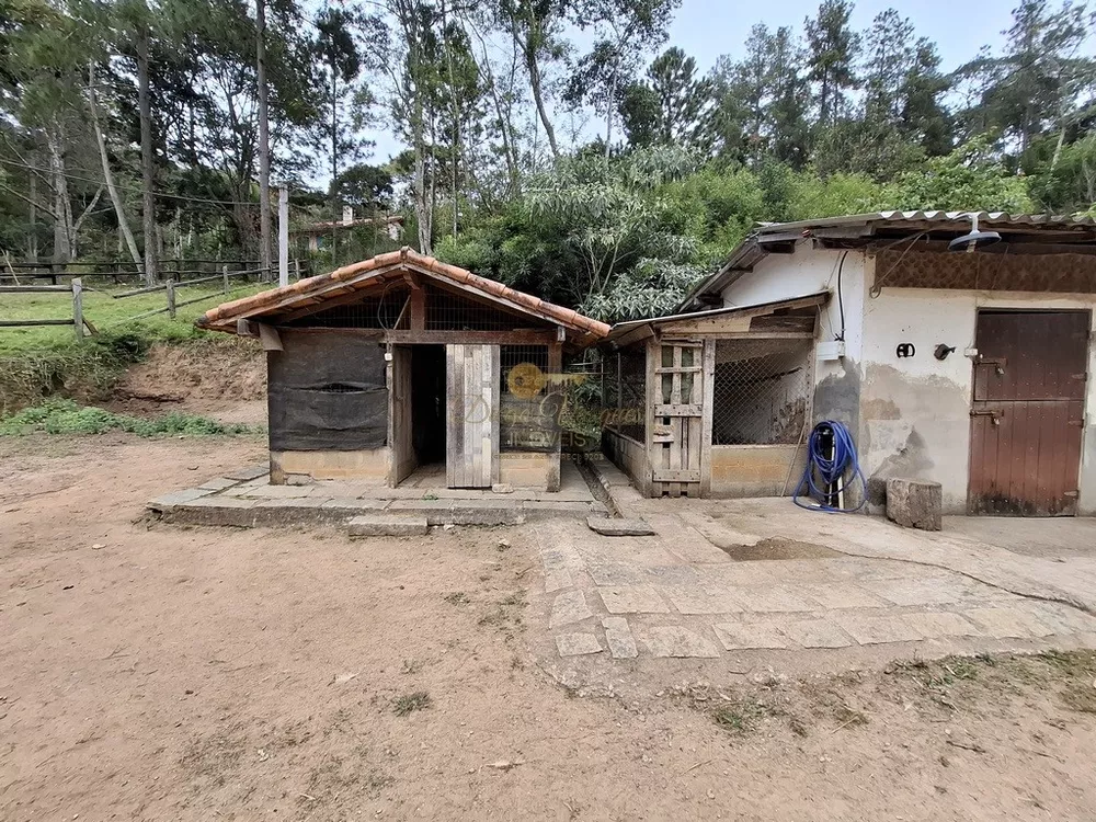 Sítio, 3 quartos, 87 hectares - Foto 43