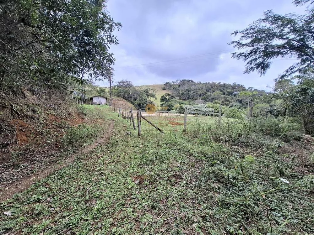 Sítio, 3 quartos, 87 hectares - Foto 57