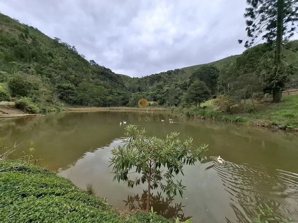 Sítio, 3 quartos, 87 hectares - Foto 46