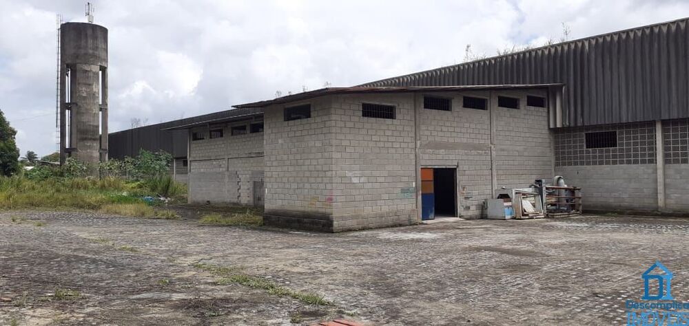 Depósito-Galpão, 7500 m² - Foto 3