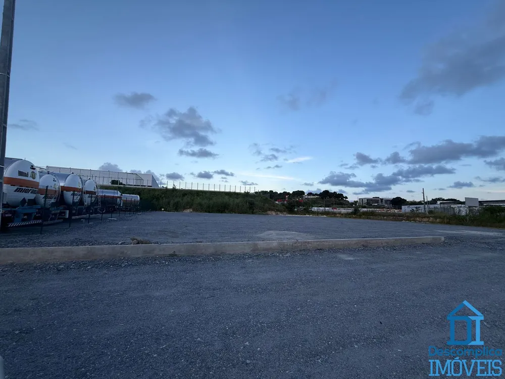 Terreno, 10000 m² - Foto 3