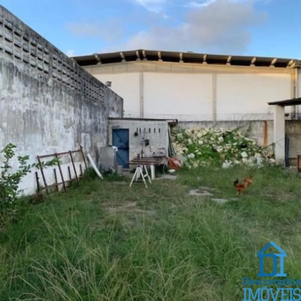 Terreno para alugar com 3 quartos, 1100m² - Foto 5