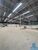 Depósito-Galpão, 951 m² - Foto 2