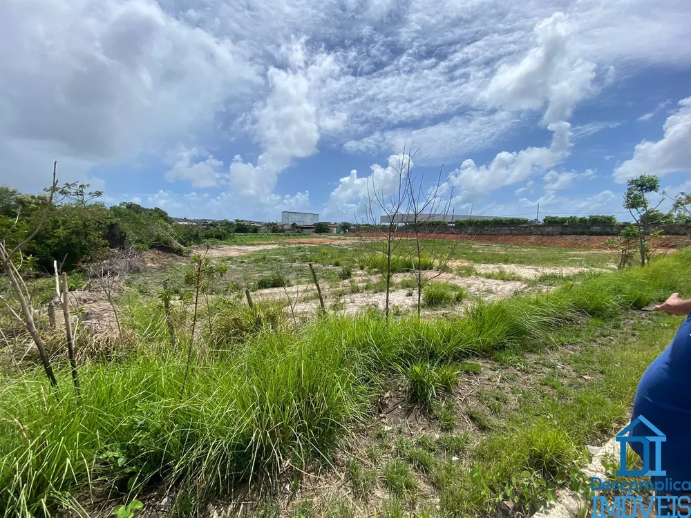 Terreno à venda, 17800m² - Foto 2