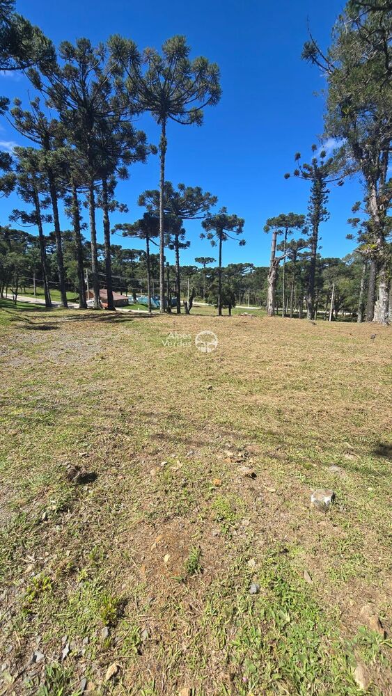 Terreno à venda, 422m² - Foto 4