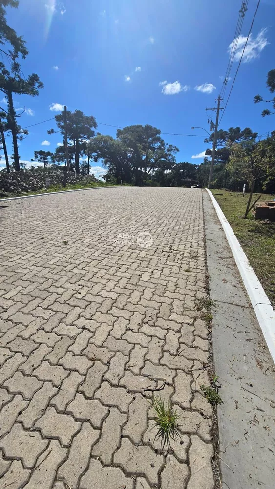 Terreno à venda, 500m² - Foto 5