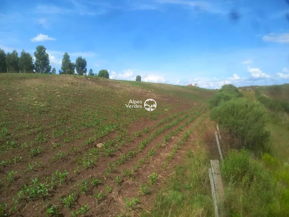 Terreno à venda - Foto 6