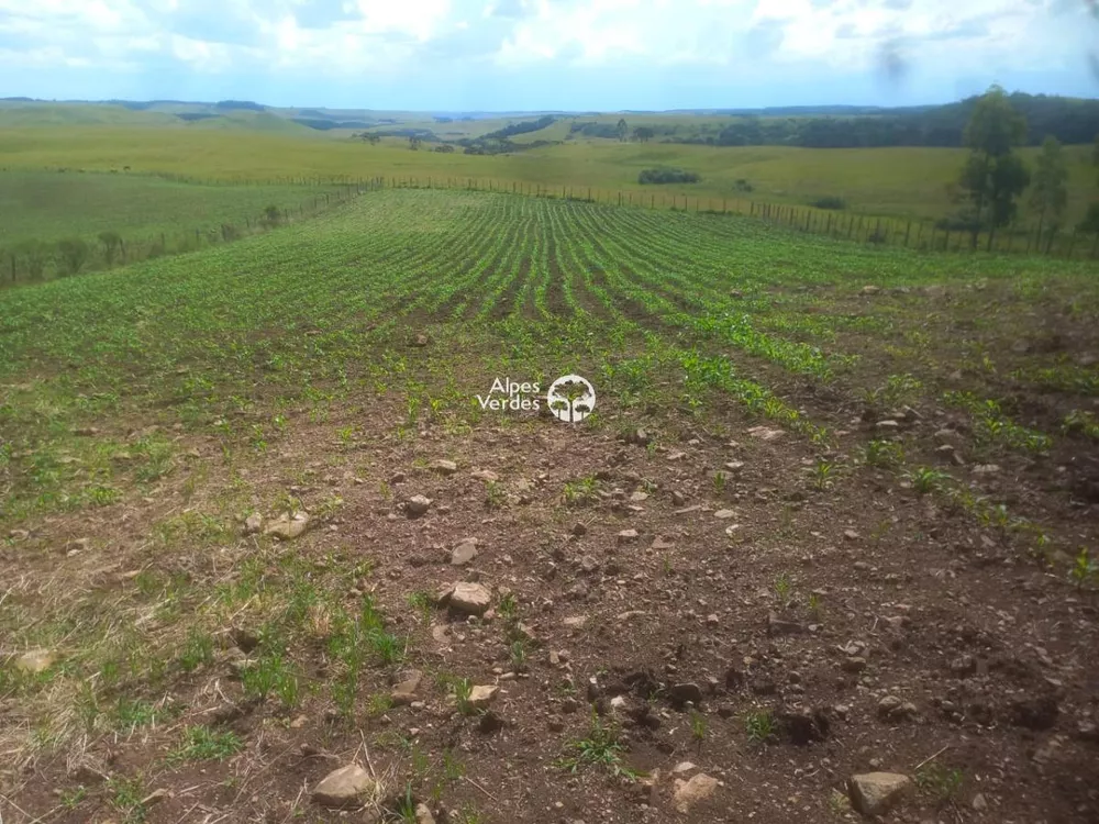 Terreno à venda - Foto 4