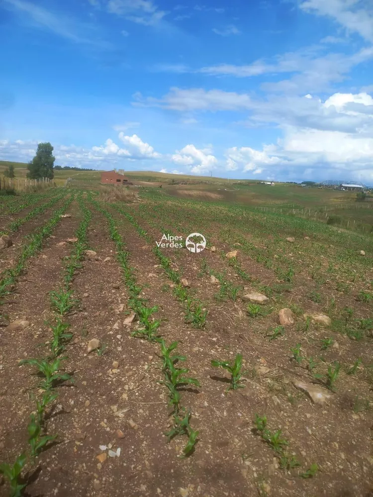 Terreno à venda - Foto 5