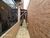 Casa, 3 quartos, 213 m² - Foto 6