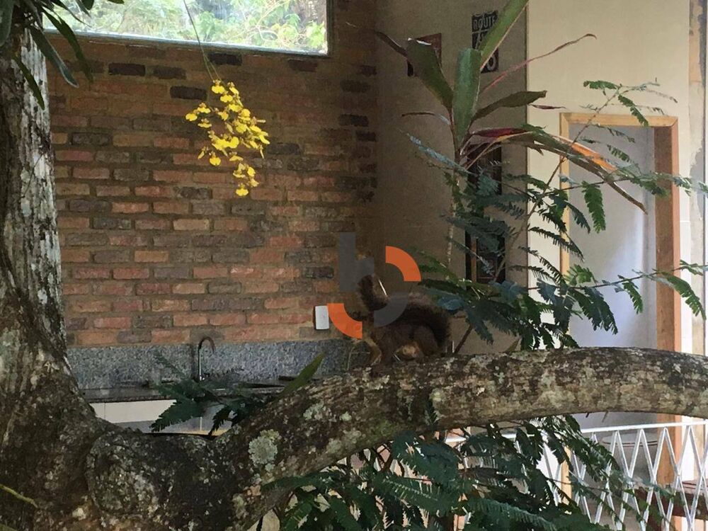 Sítio à venda com 4 quartos, 400m² - Foto 1