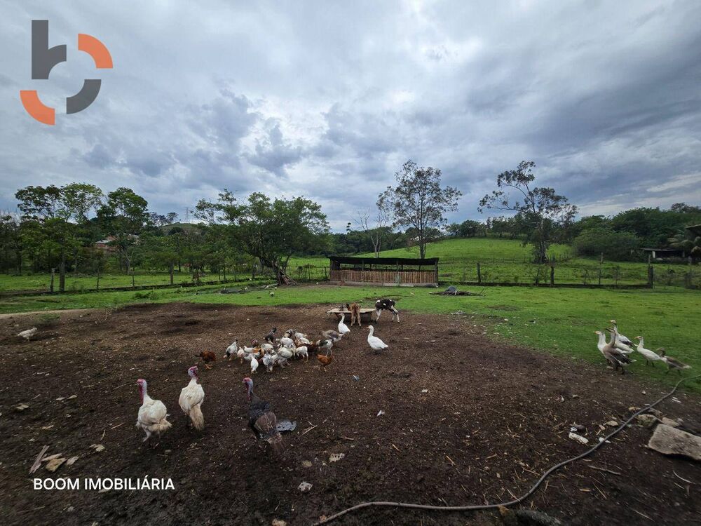 Sítio, 1 quarto, 4 hectares - Foto 10