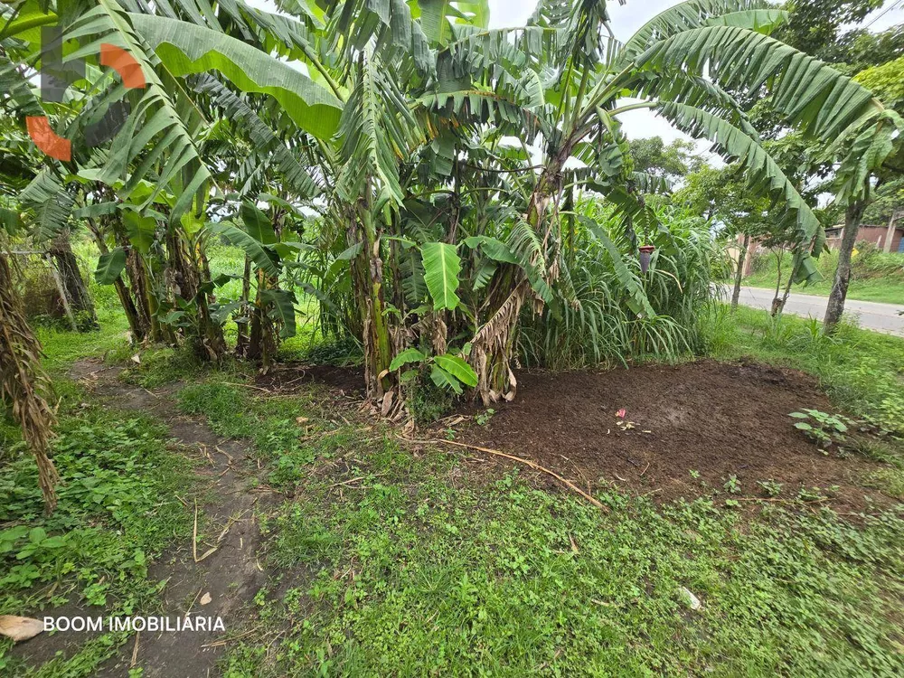 Sítio, 1 quarto, 4 hectares - Foto 26