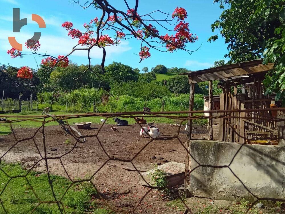 Sítio, 1 quarto, 4 hectares - Foto 4