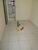 Apartamento, 1 quarto, 46 m² - Foto 6