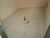 Apartamento, 1 quarto, 46 m² - Foto 4