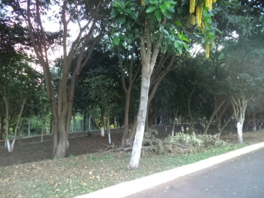 Terreno, 336 m² - Foto 4