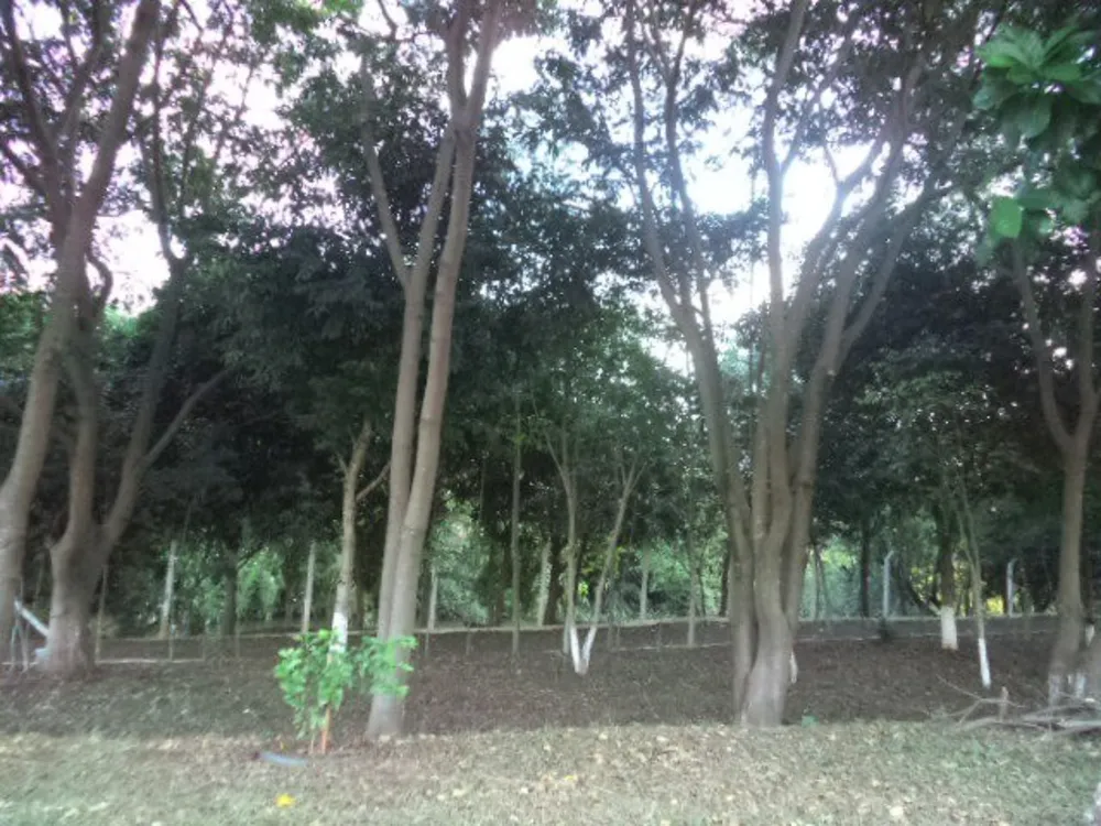 Terreno, 336 m² - Foto 2