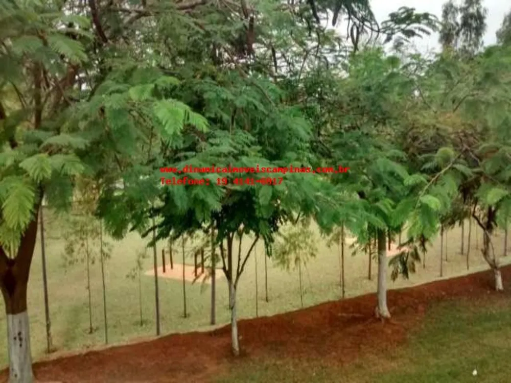 Terreno, 300 m² - Foto 3