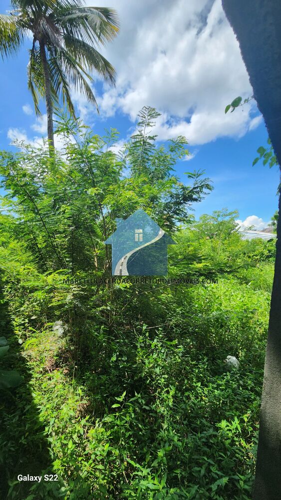 Casa, 3 quartos - Foto 31