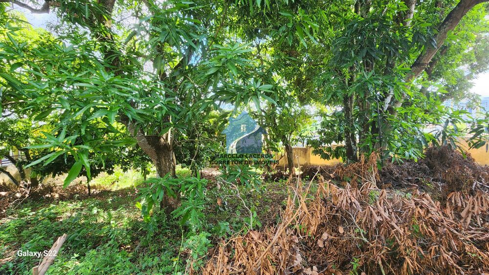 Terreno, 1200 m² - Foto 9