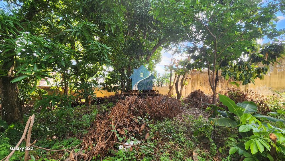 Terreno, 1200 m² - Foto 11