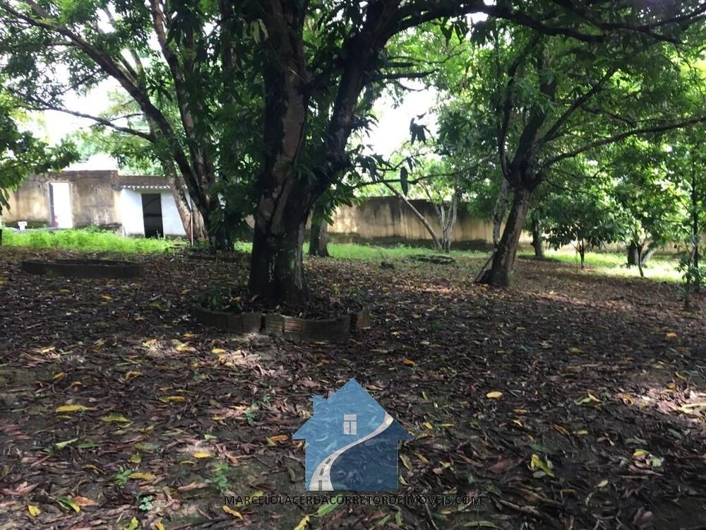 Terreno, 1200 m² - Foto 14