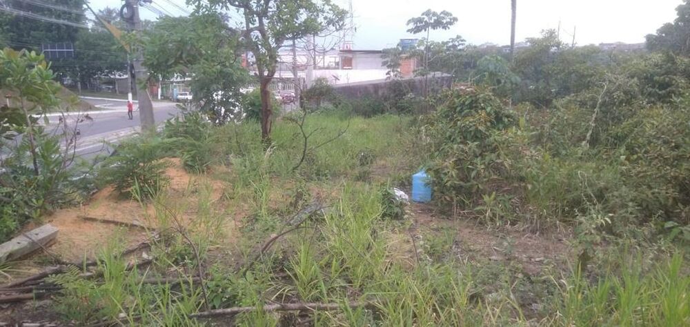 Loteamento e Condomínio, 4020 m² - Foto 2