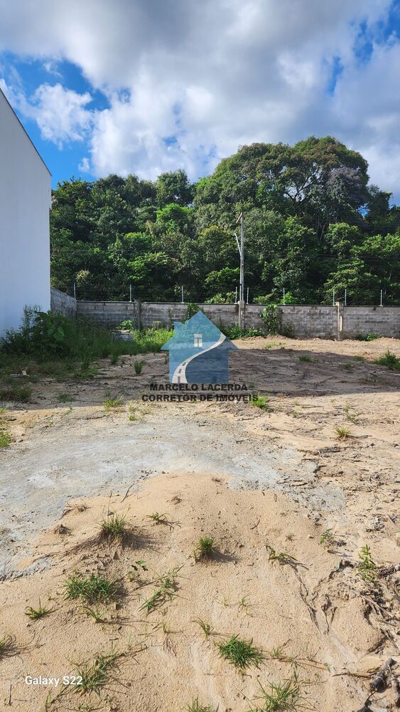 Terreno, 250 m² - Foto 3