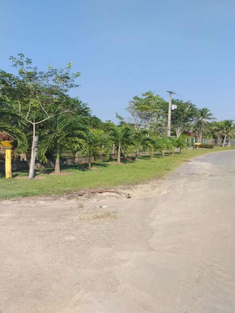 Chácara, 3 quartos, 6700 m² - Foto 2