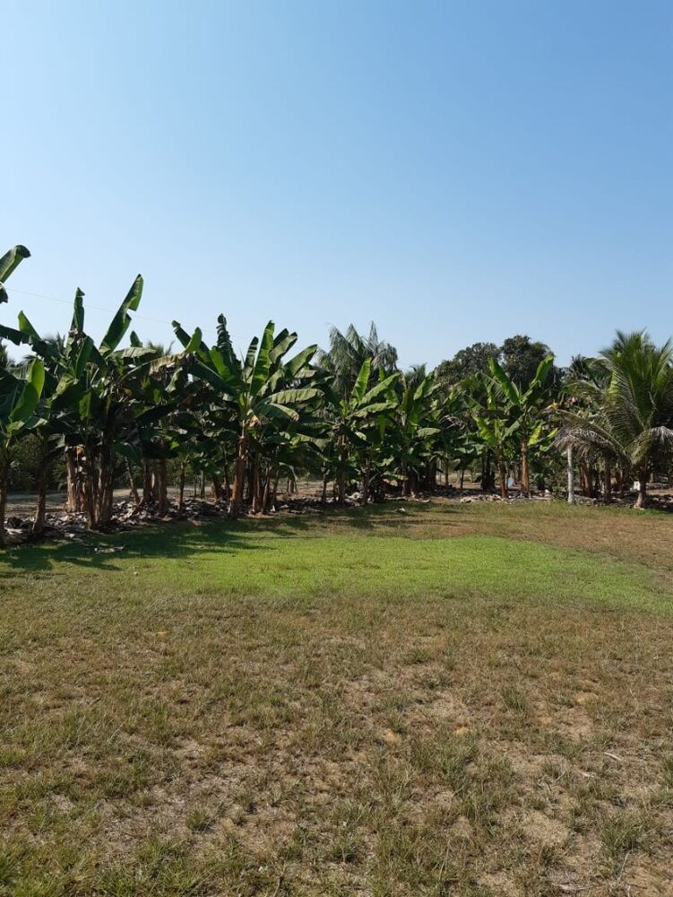 Chácara, 3 quartos, 6700 m² - Foto 20