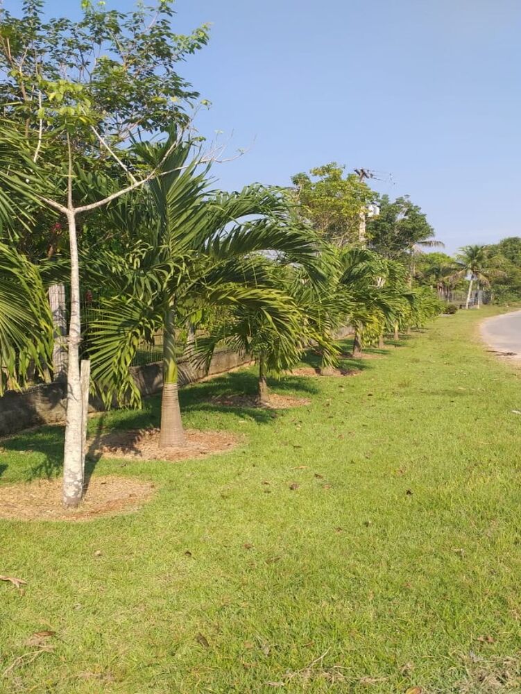 Chácara, 3 quartos, 6700 m² - Foto 5