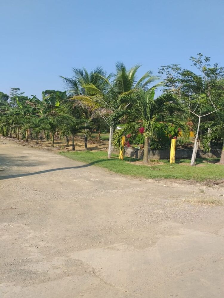 Chácara, 3 quartos, 6700 m² - Foto 17